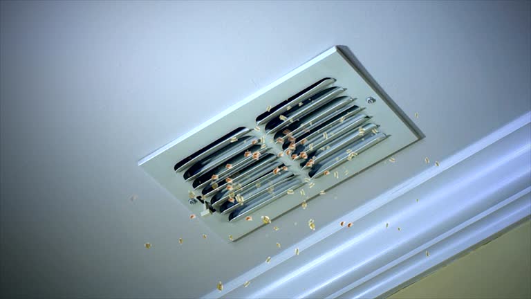 Best Affordable HVAC Duct Cleaning  in Hallam, PA